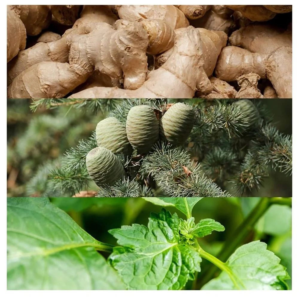 Calvin Klein Euphoria Men Fragrance - Picture 3 of 12